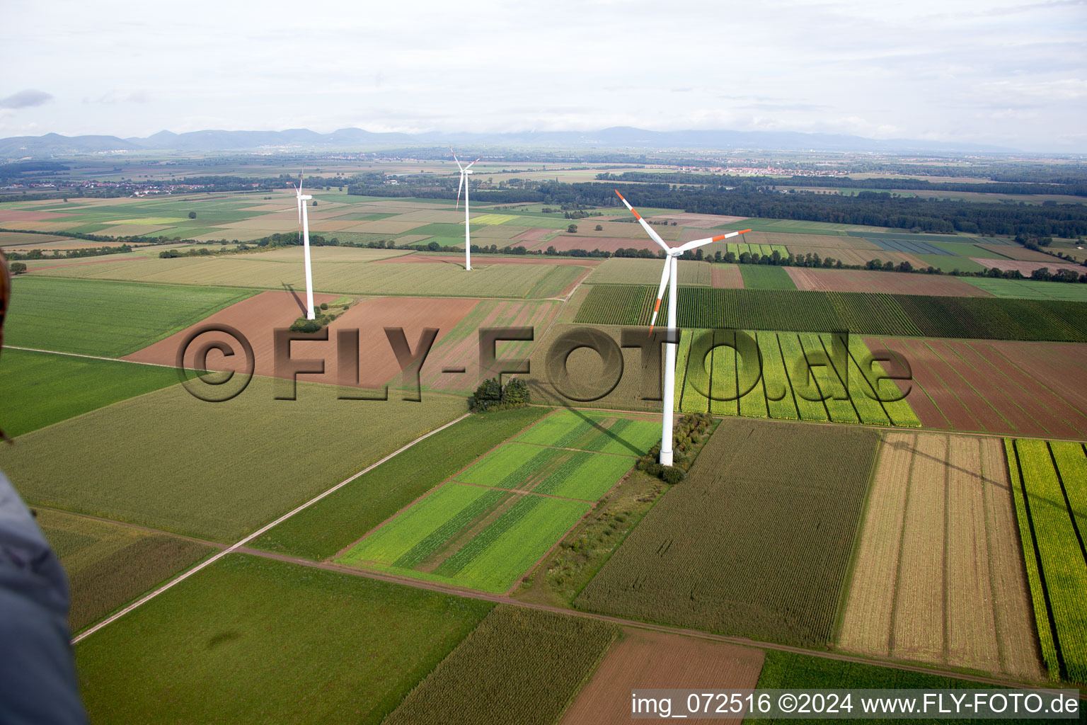 Bird's eye view of Minfeld in the state Rhineland-Palatinate, Germany