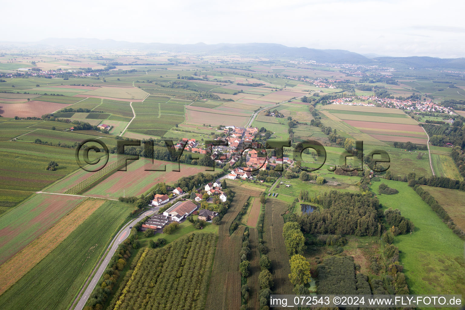 Hergersweiler in the state Rhineland-Palatinate, Germany