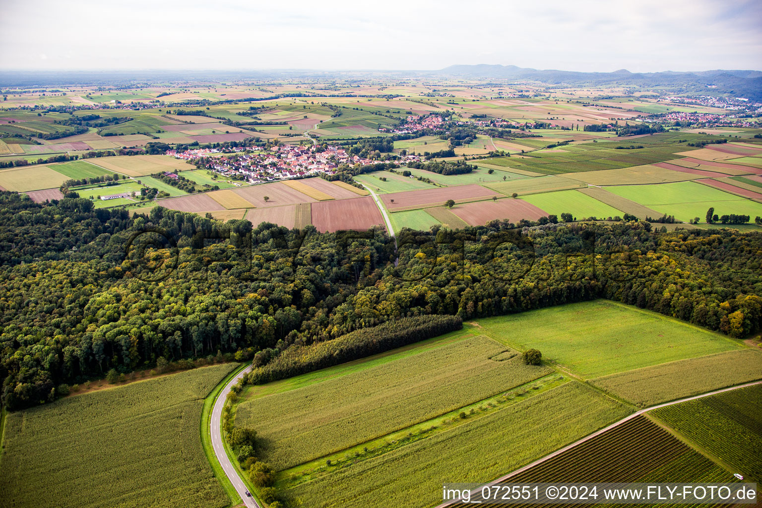 Oblique view of Barbelroth in the state Rhineland-Palatinate, Germany