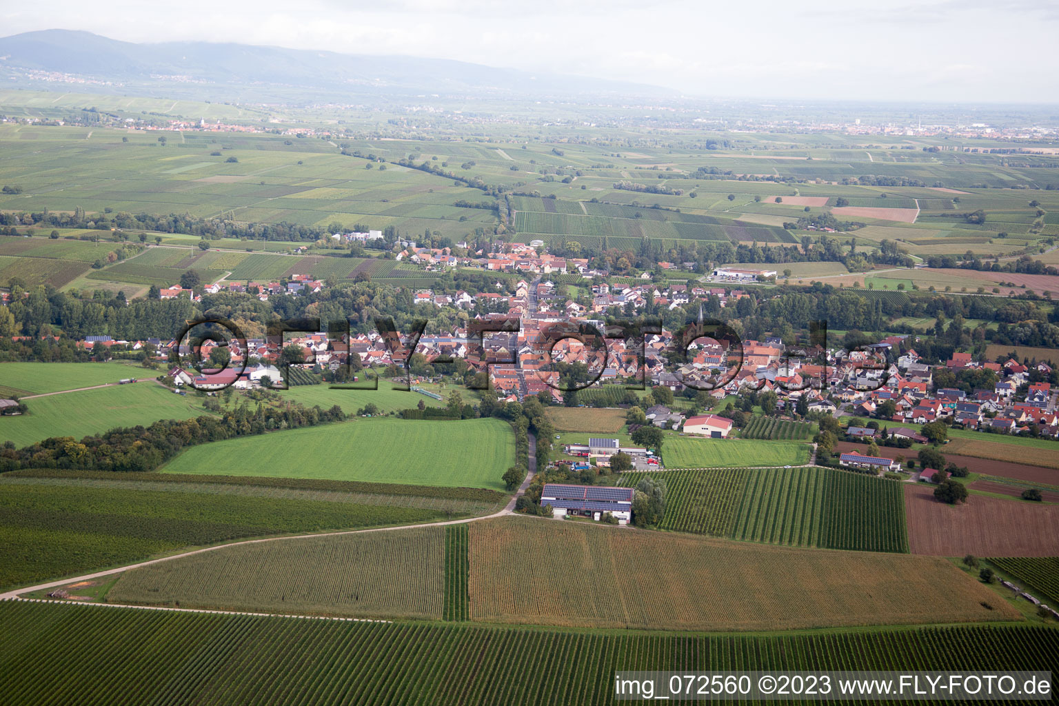 District Ingenheim in Billigheim-Ingenheim in the state Rhineland-Palatinate, Germany