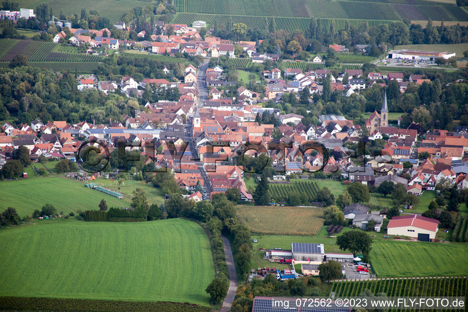 Aerial view of District Ingenheim in Billigheim-Ingenheim in the state Rhineland-Palatinate, Germany