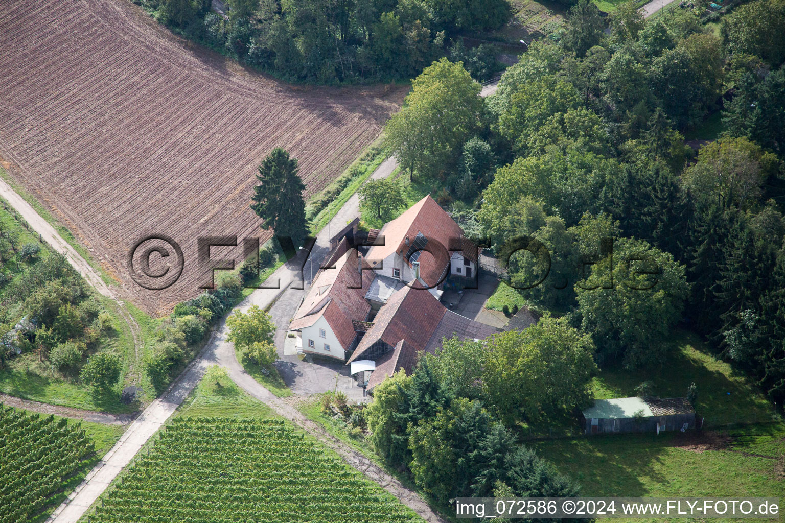 Herbert Nicholas in the district Heuchelheim in Heuchelheim-Klingen in the state Rhineland-Palatinate, Germany