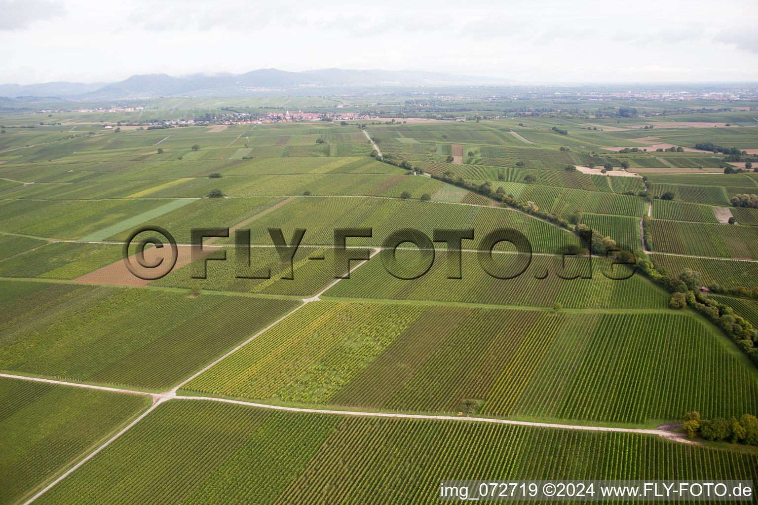 Aerial view of District Appenhofen in Billigheim-Ingenheim in the state Rhineland-Palatinate, Germany