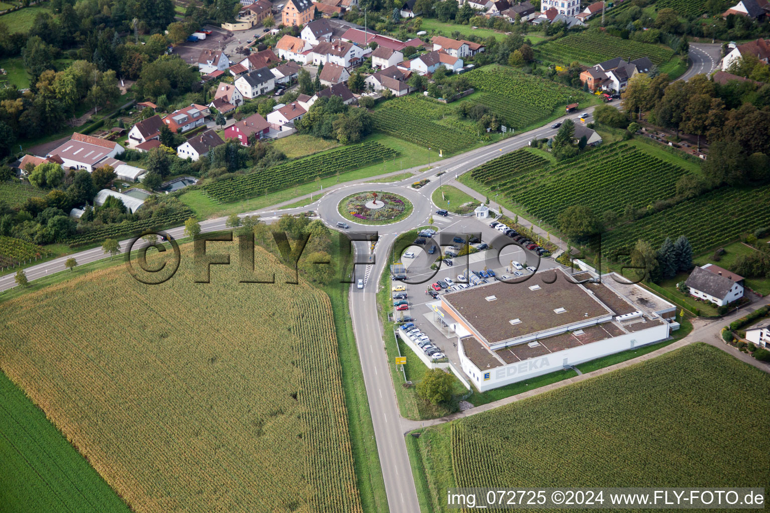 District Appenhofen in Billigheim-Ingenheim in the state Rhineland-Palatinate, Germany out of the air