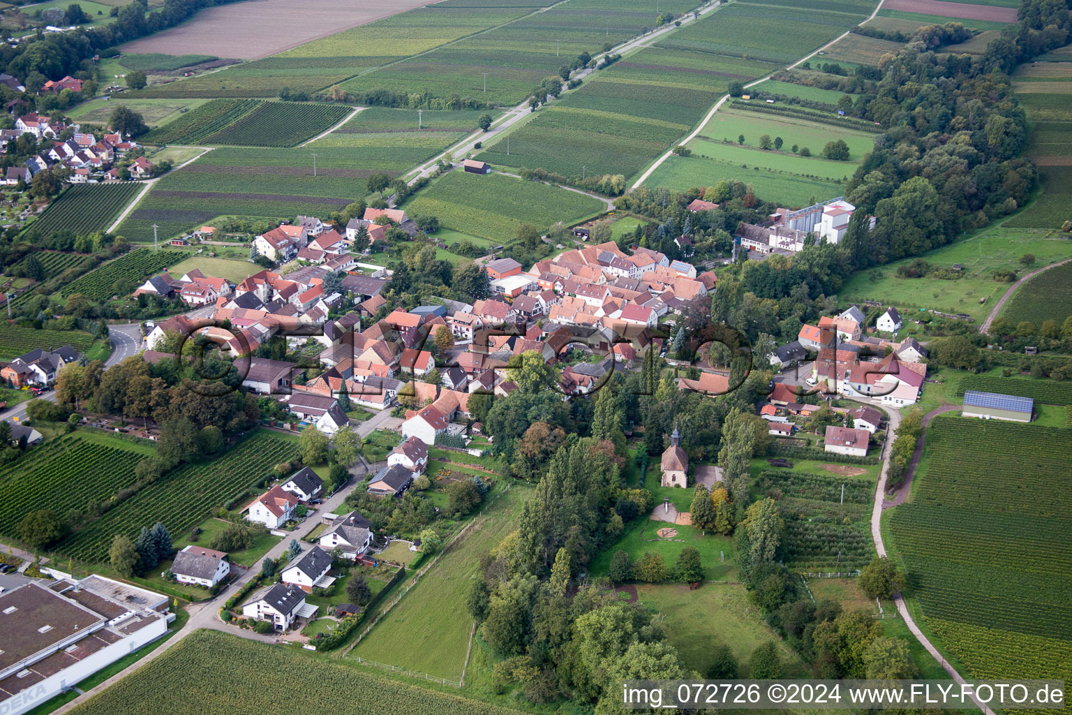 District Appenhofen in Billigheim-Ingenheim in the state Rhineland-Palatinate, Germany seen from above