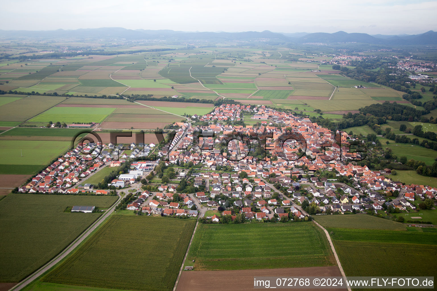 Steinweiler in the state Rhineland-Palatinate, Germany seen from above