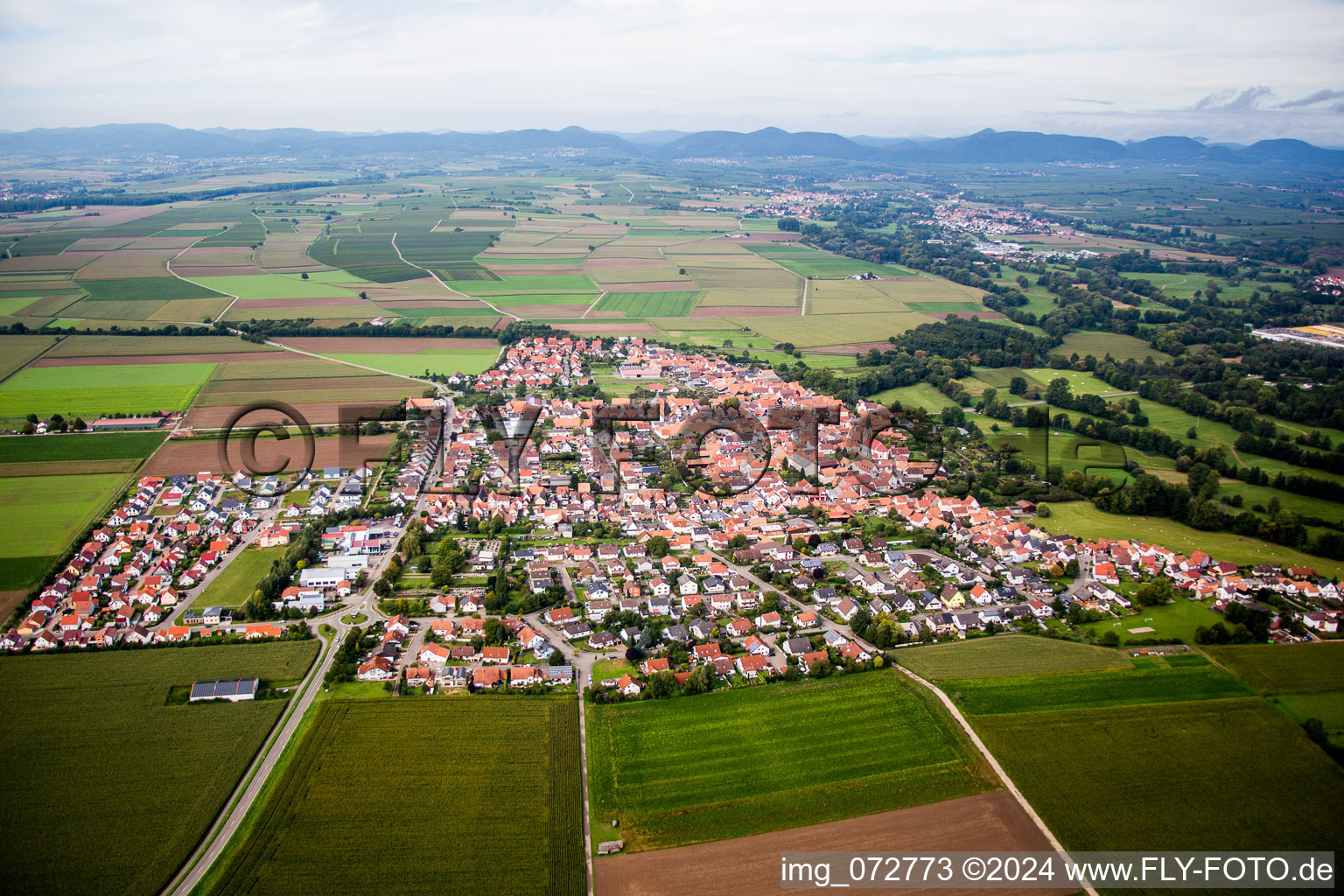 From the east in Steinweiler in the state Rhineland-Palatinate, Germany