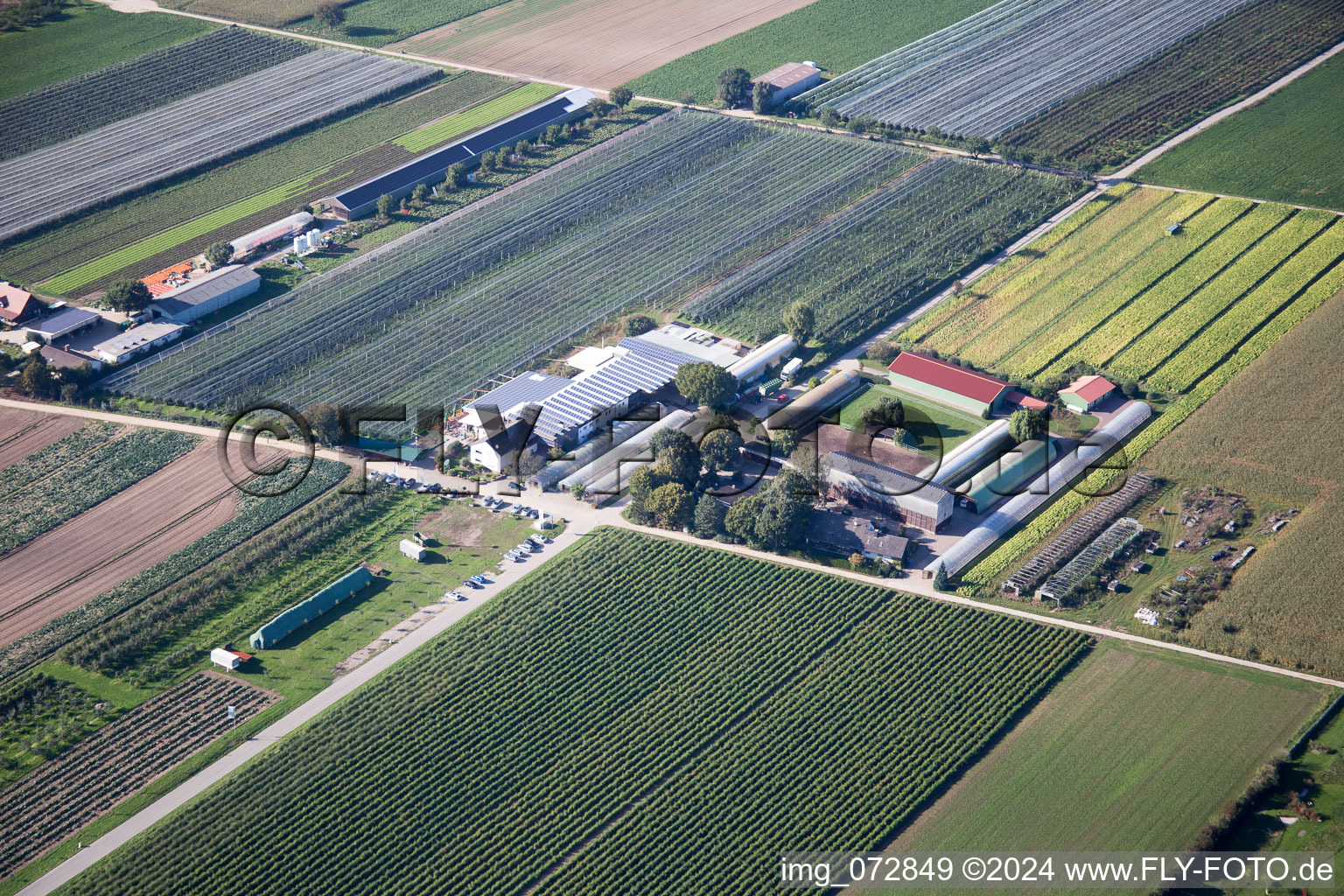 Zapf fruit farm in Kandel in the state Rhineland-Palatinate, Germany