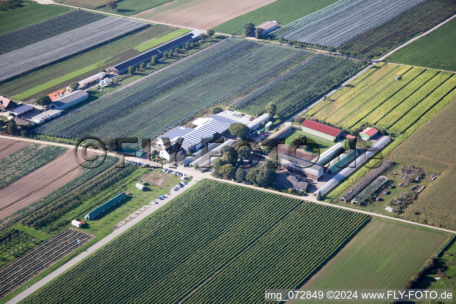 Zapf Fruit Farm in Kandel in the state Rhineland-Palatinate, Germany