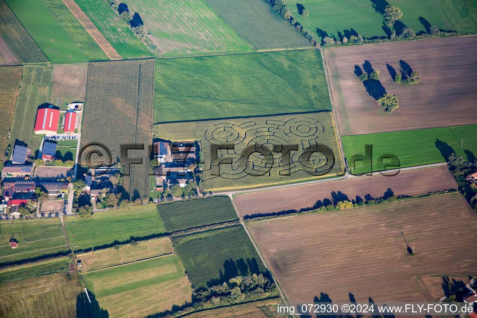 Insultheimerhof in the state Baden-Wuerttemberg, Germany