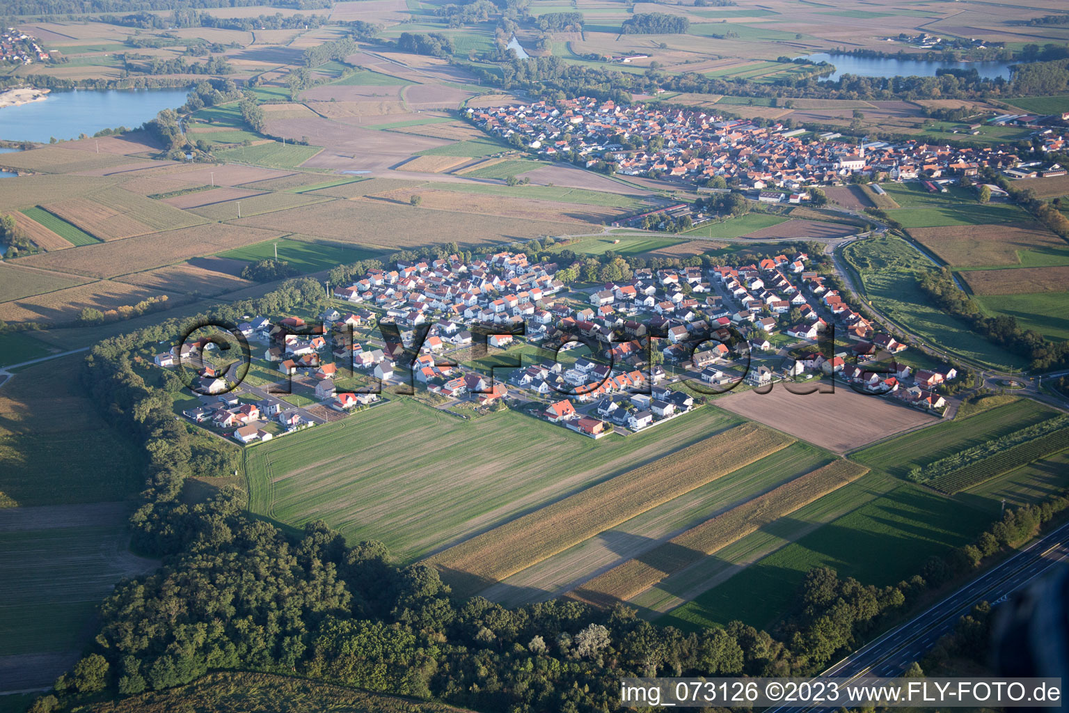Hardtwald in the state Rhineland-Palatinate, Germany