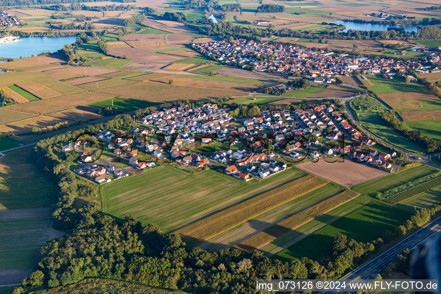 District Hardtwald in Neupotz in the state Rhineland-Palatinate, Germany