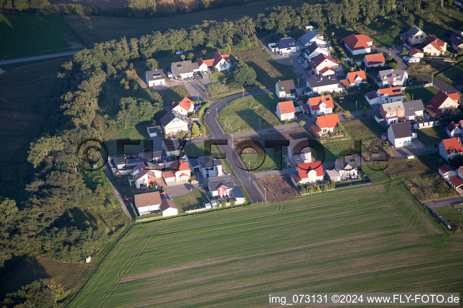 Hardtwald in the state Rhineland-Palatinate, Germany from above