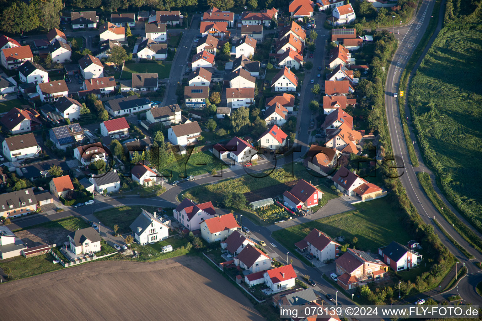 District Hardtwald in Neupotz in the state Rhineland-Palatinate, Germany from above