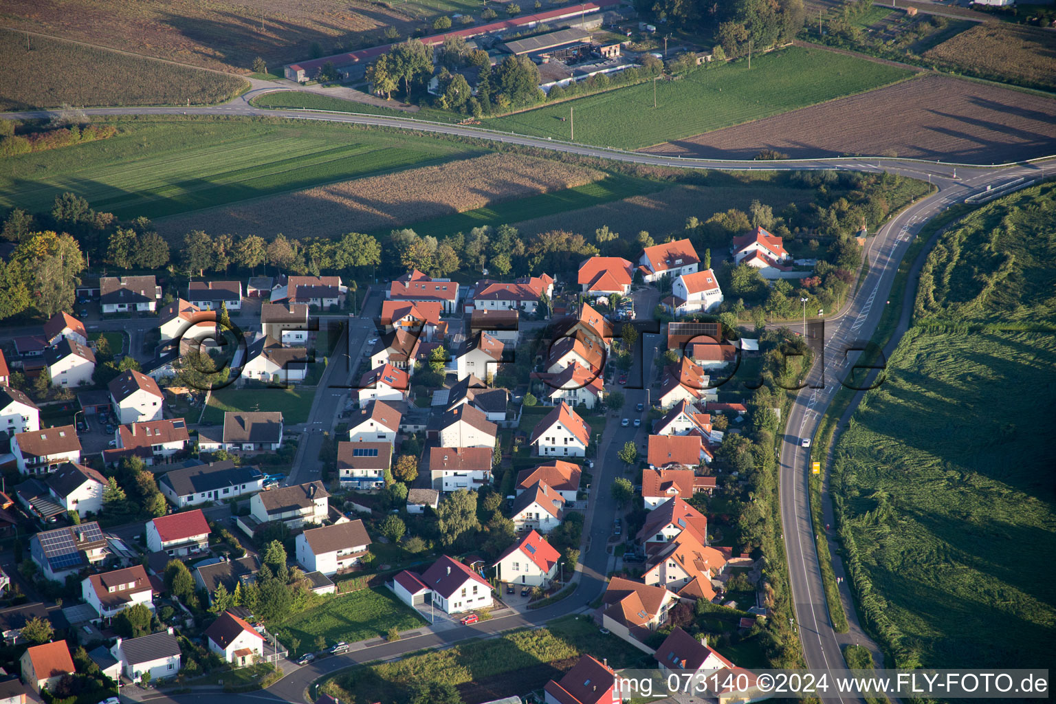 District Hardtwald in Neupotz in the state Rhineland-Palatinate, Germany out of the air