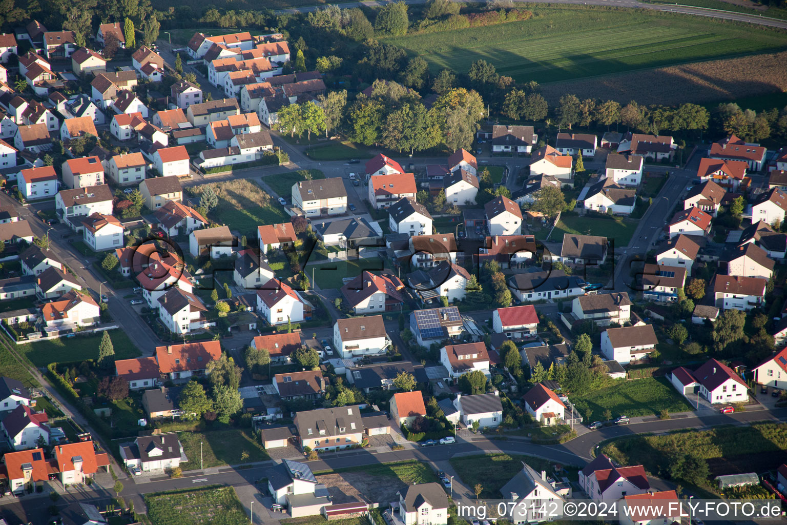 District Hardtwald in Neupotz in the state Rhineland-Palatinate, Germany seen from above