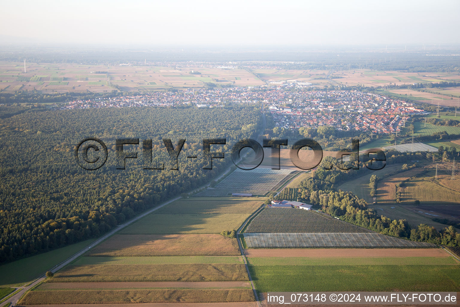 Oblique view of Rülzheim in the state Rhineland-Palatinate, Germany