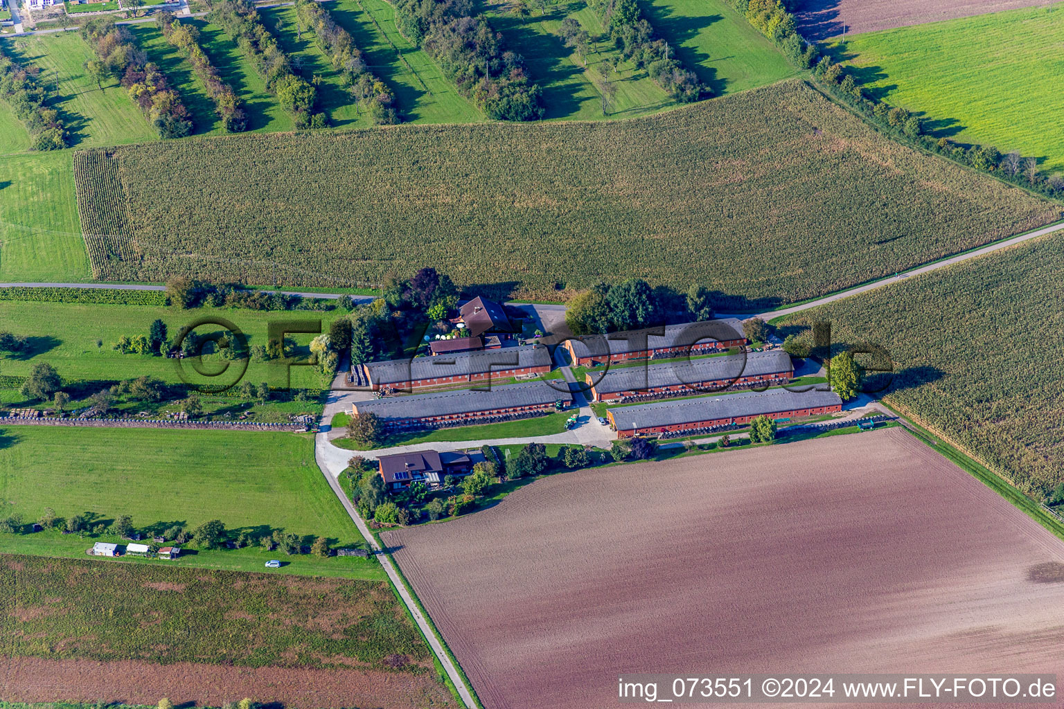 Dairy plant and animal breeding stables with cows in Wiesloch in the state Baden-Wurttemberg, Germany