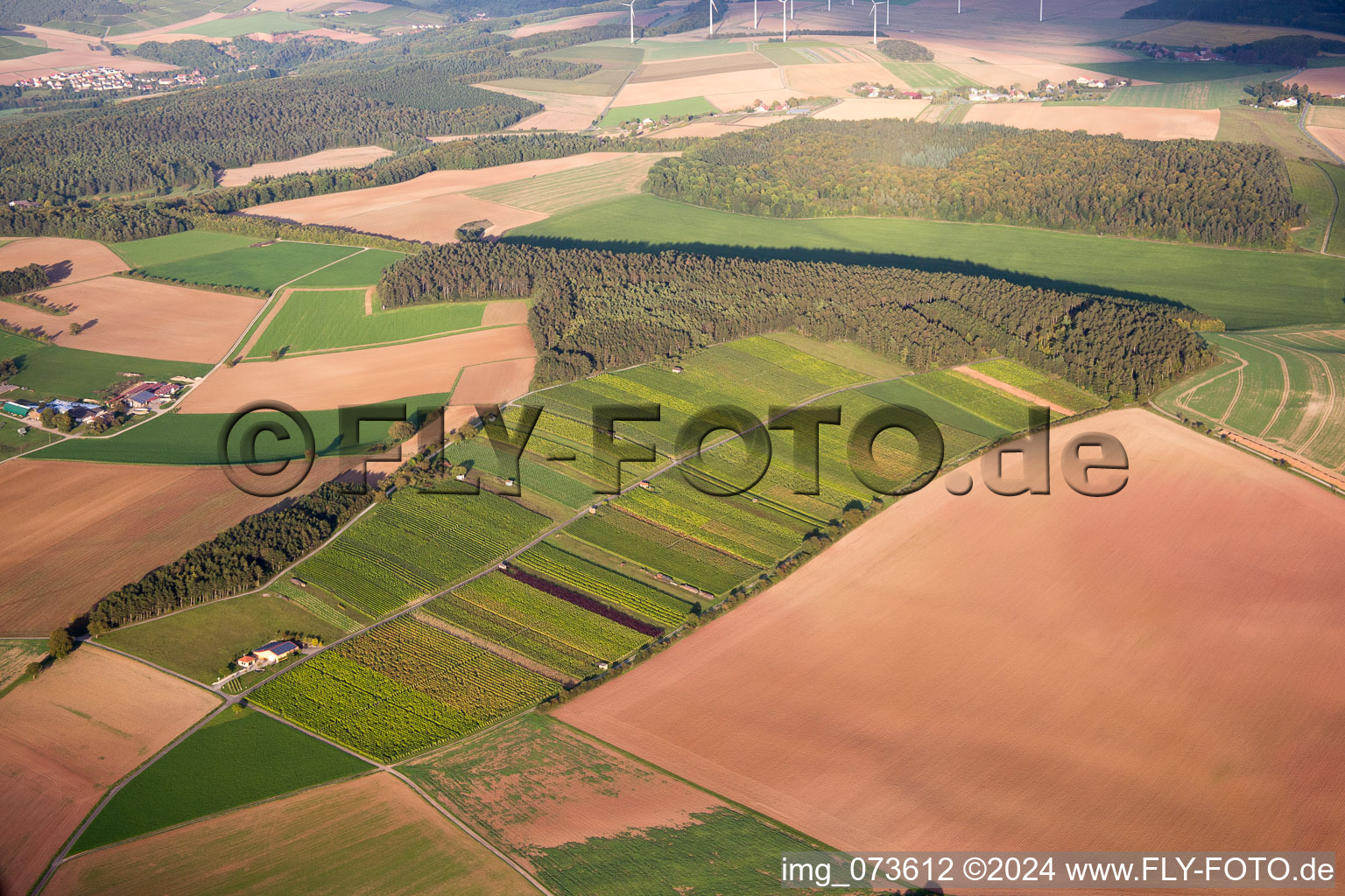 Aerial photograpy of District Reicholzheim in Wertheim in the state Baden-Wuerttemberg, Germany