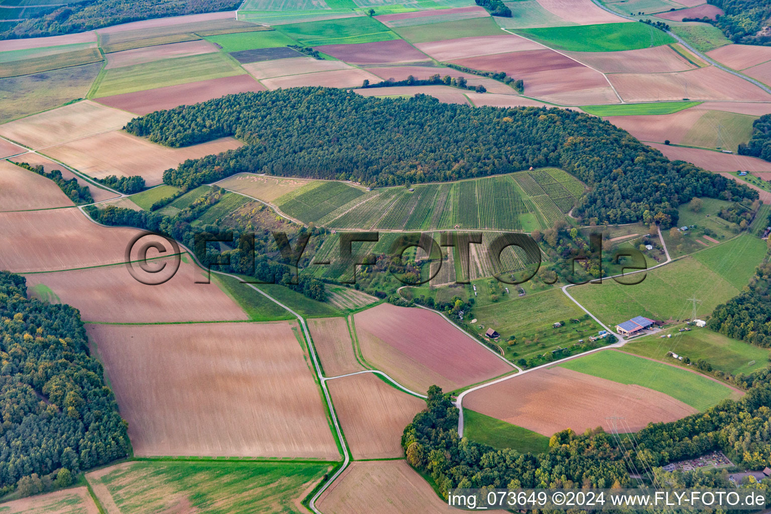 Vineyard in the district Dertingen in Wertheim in the state Baden-Wuerttemberg, Germany