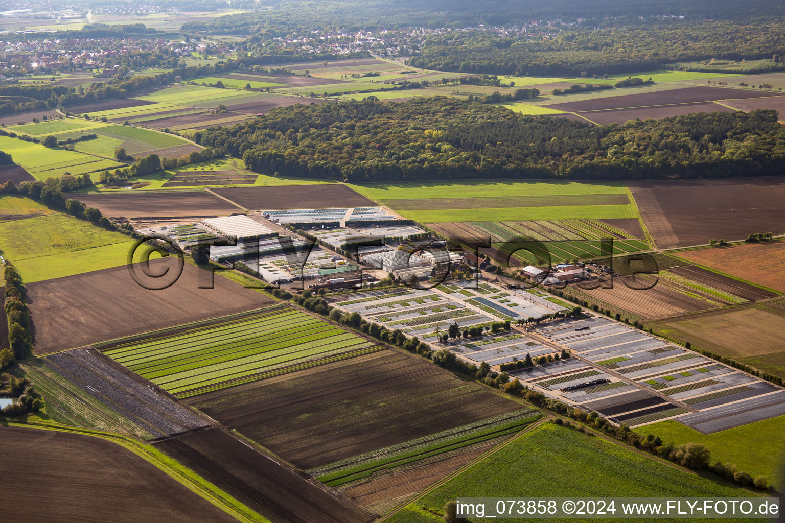 Dieter Denze nursery in Gochsheim in the state Bavaria, Germany