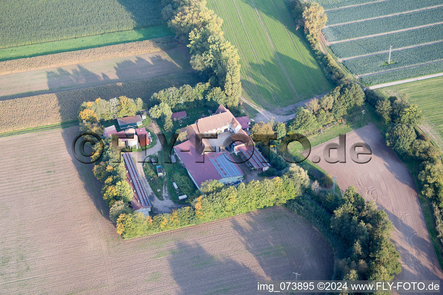 Aerial view of Leistenmühle from the northwest in Erlenbach bei Kandel in the state Rhineland-Palatinate, Germany