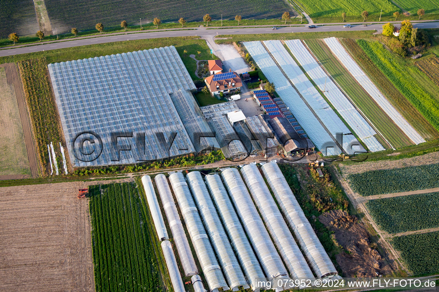 Farm shoop with Glass roof surfaces in the greenhouse for vegetable growing ranks in Herxheim bei Landau (Pfalz) in the state Rhineland-Palatinate, Germany