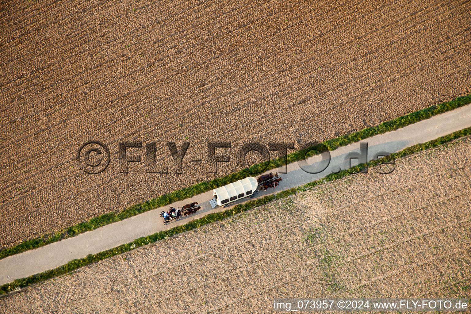 Herxheimweyher in the state Rhineland-Palatinate, Germany from above