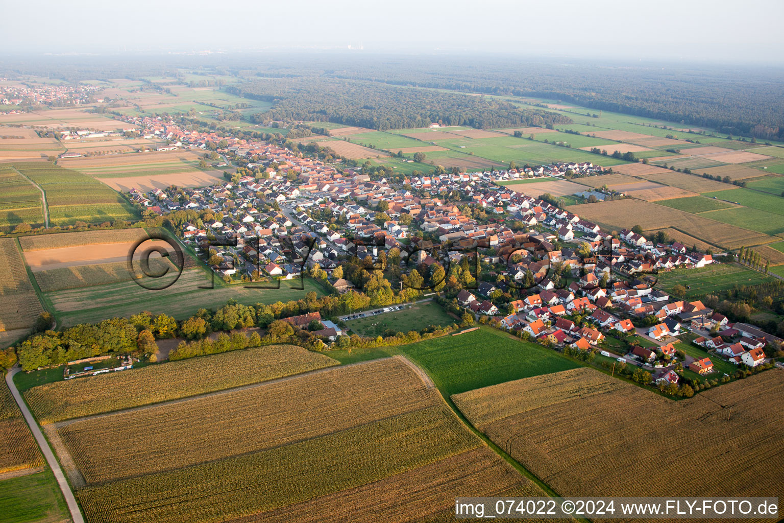 Freckenfeld in the state Rhineland-Palatinate, Germany from above