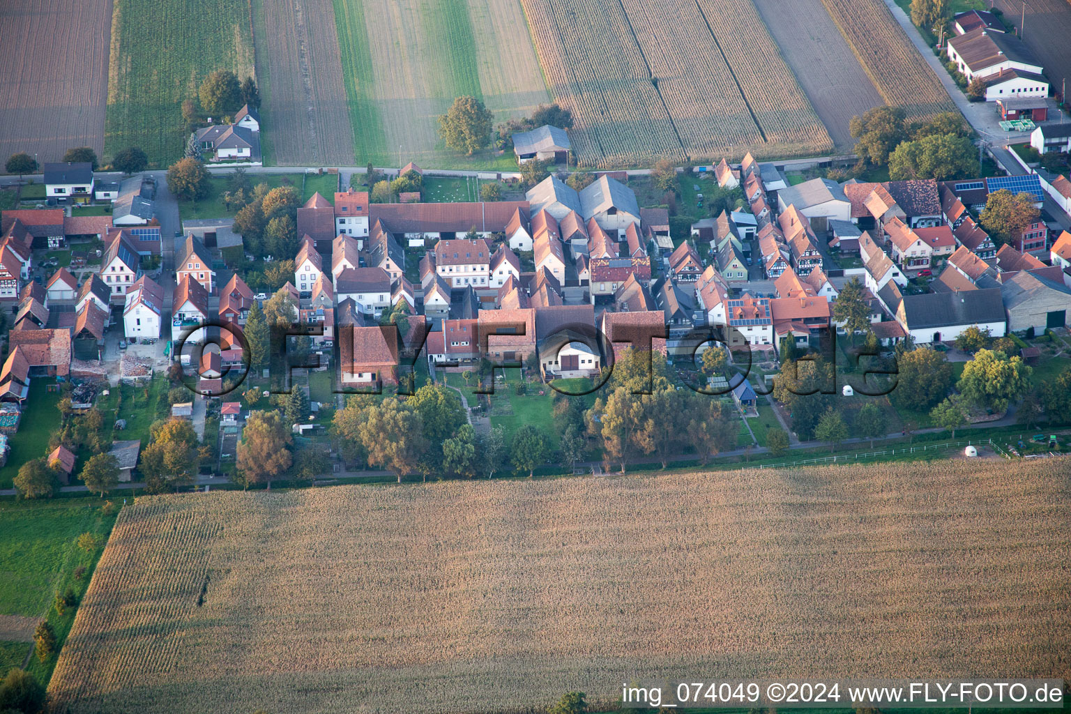 Aerial view of Gaensried in Freckenfeld in the state Rhineland-Palatinate, Germany