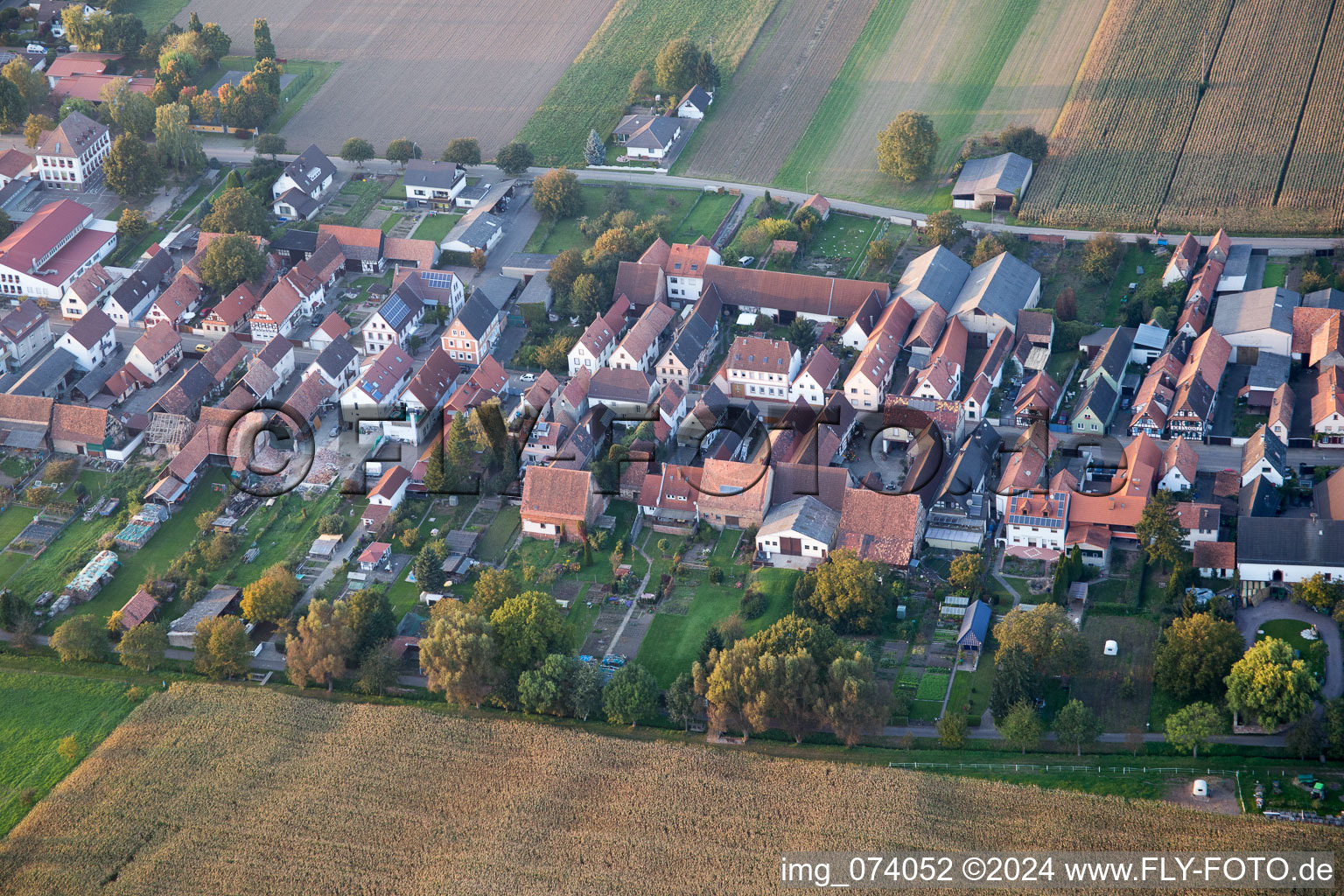 Oblique view of Gaensried in Freckenfeld in the state Rhineland-Palatinate, Germany