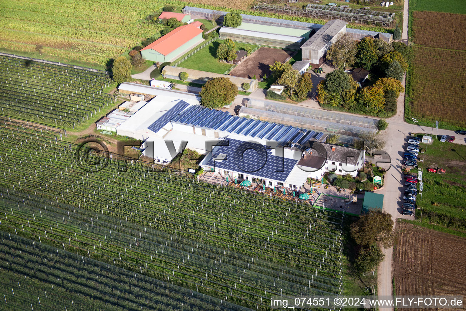 Drone image of Kandel in the state Rhineland-Palatinate, Germany