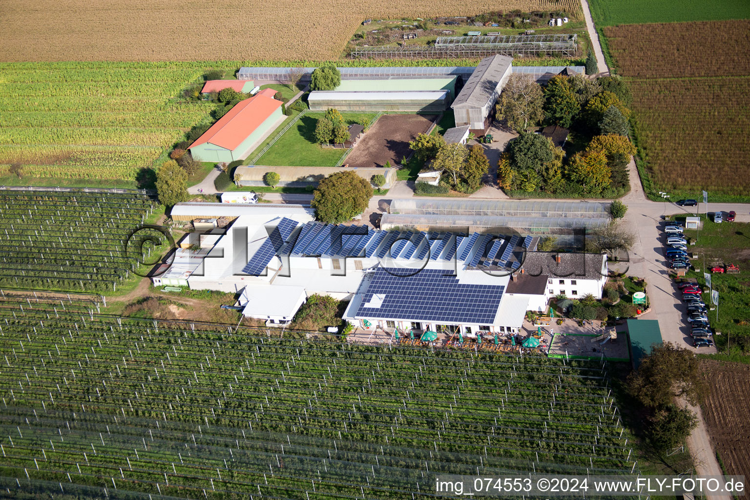 Kandel in the state Rhineland-Palatinate, Germany from the drone perspective