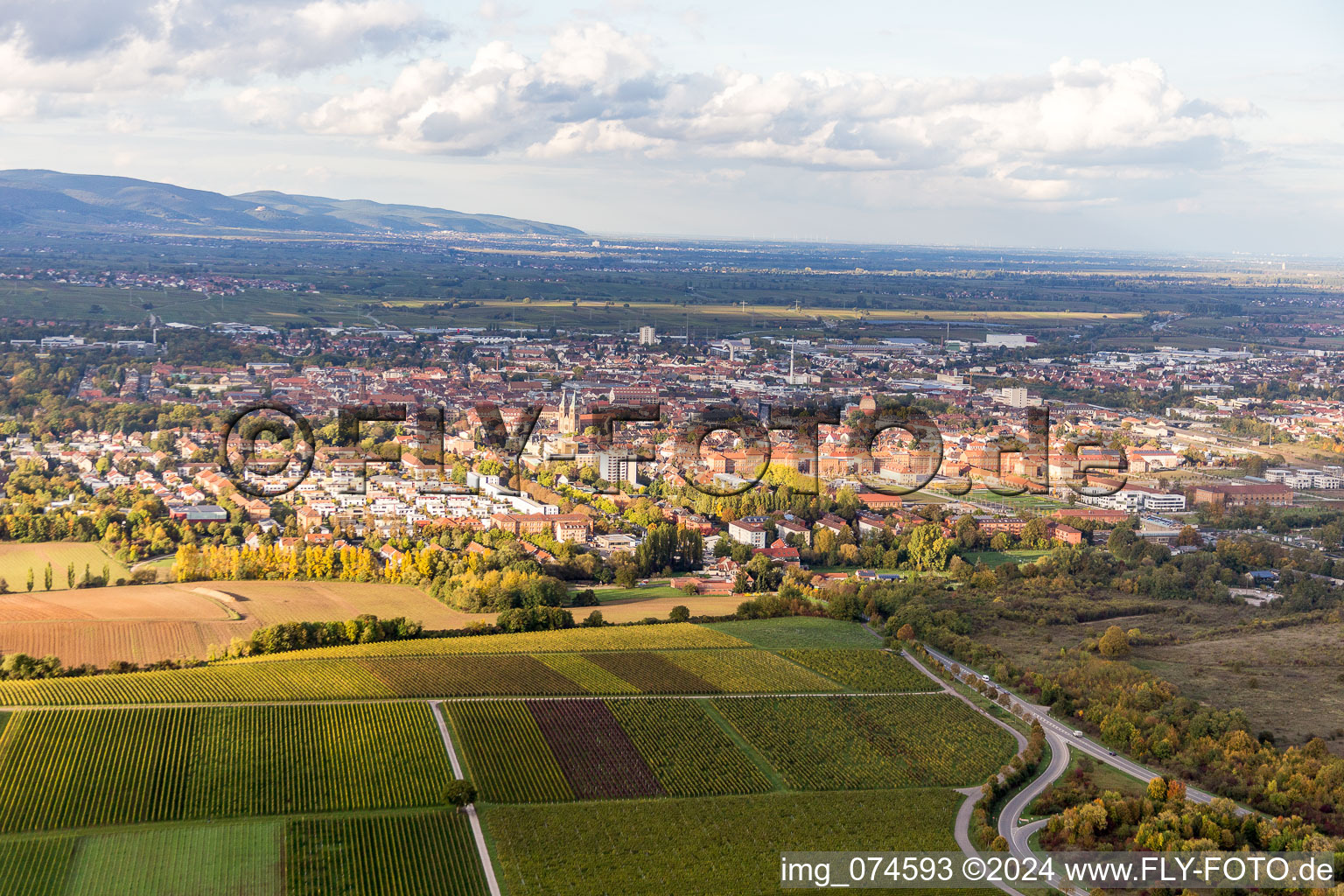 Town View of the streets and houses of the residential areas in Landau in der Pfalz in the state Rhineland-Palatinate, Germany