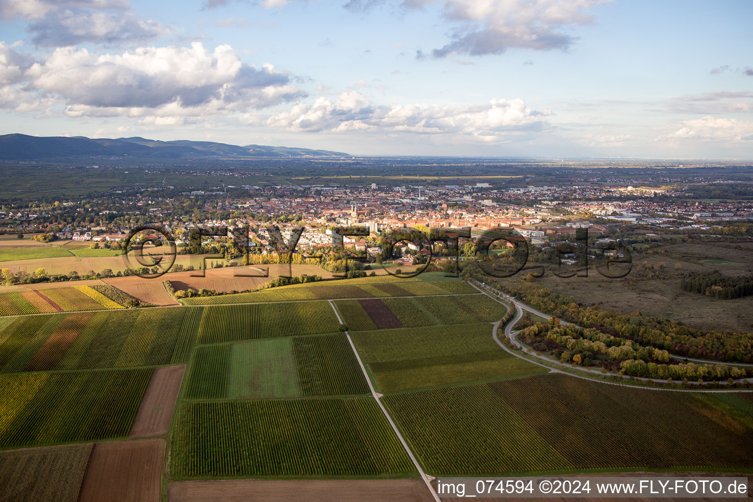 West of the Ebenberg in Landau in der Pfalz in the state Rhineland-Palatinate, Germany