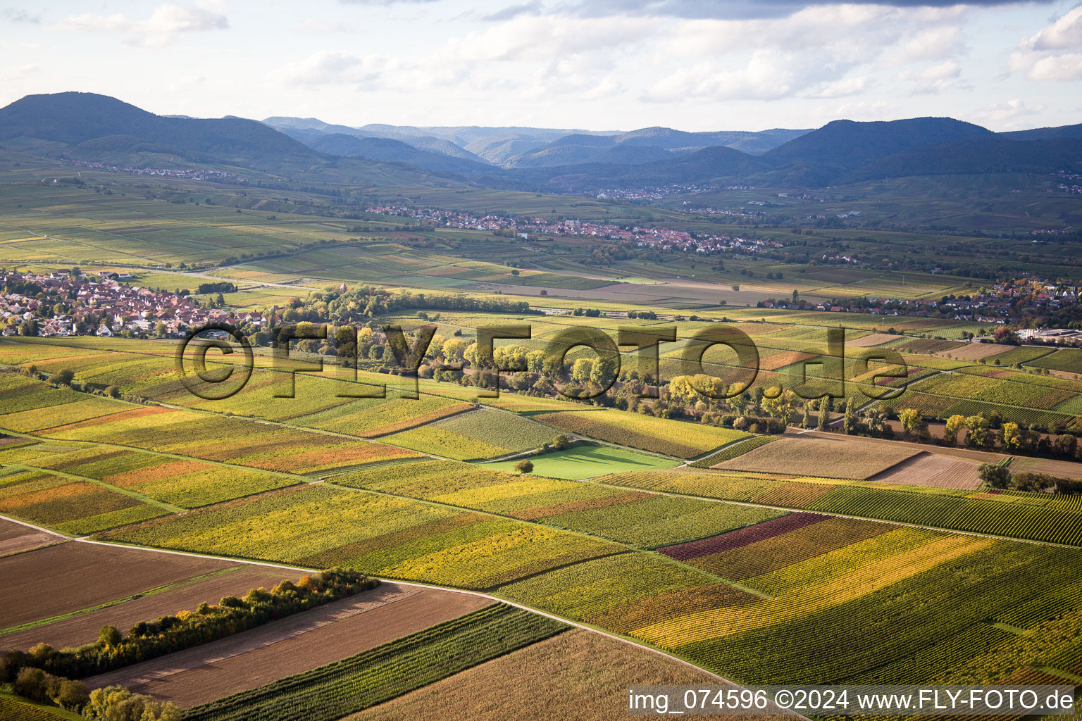 Aerial view of District Mörzheim in Landau in der Pfalz in the state Rhineland-Palatinate, Germany