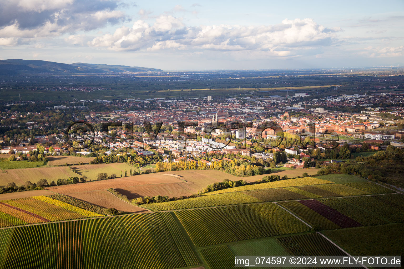 Aerial view of Landau from the south in Landau in der Pfalz in the state Rhineland-Palatinate, Germany