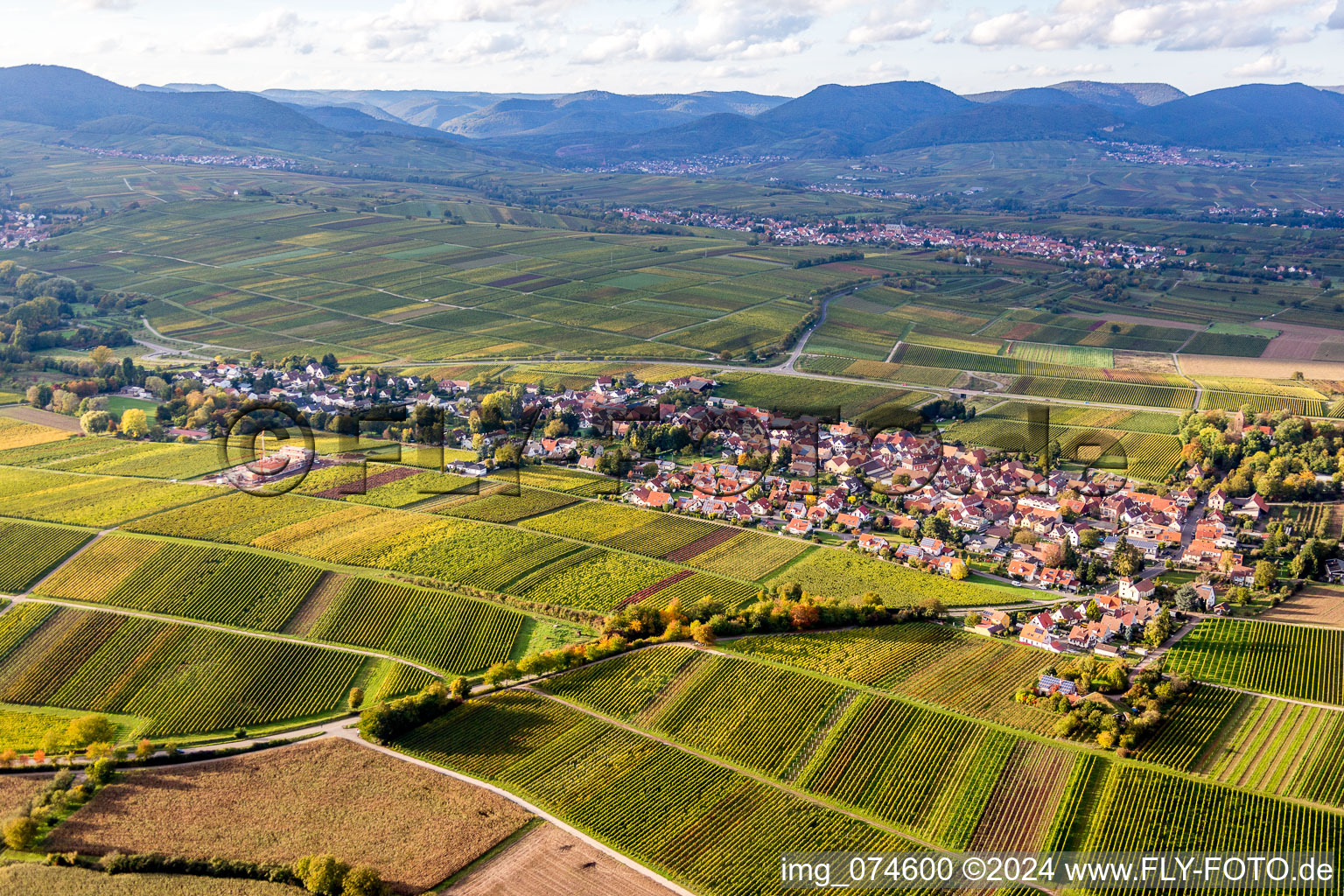 Autumnal discolored vegetation view Village - view on the edge of agricultural wine yards in Wollmesheim in the state Rhineland-Palatinate, Germany