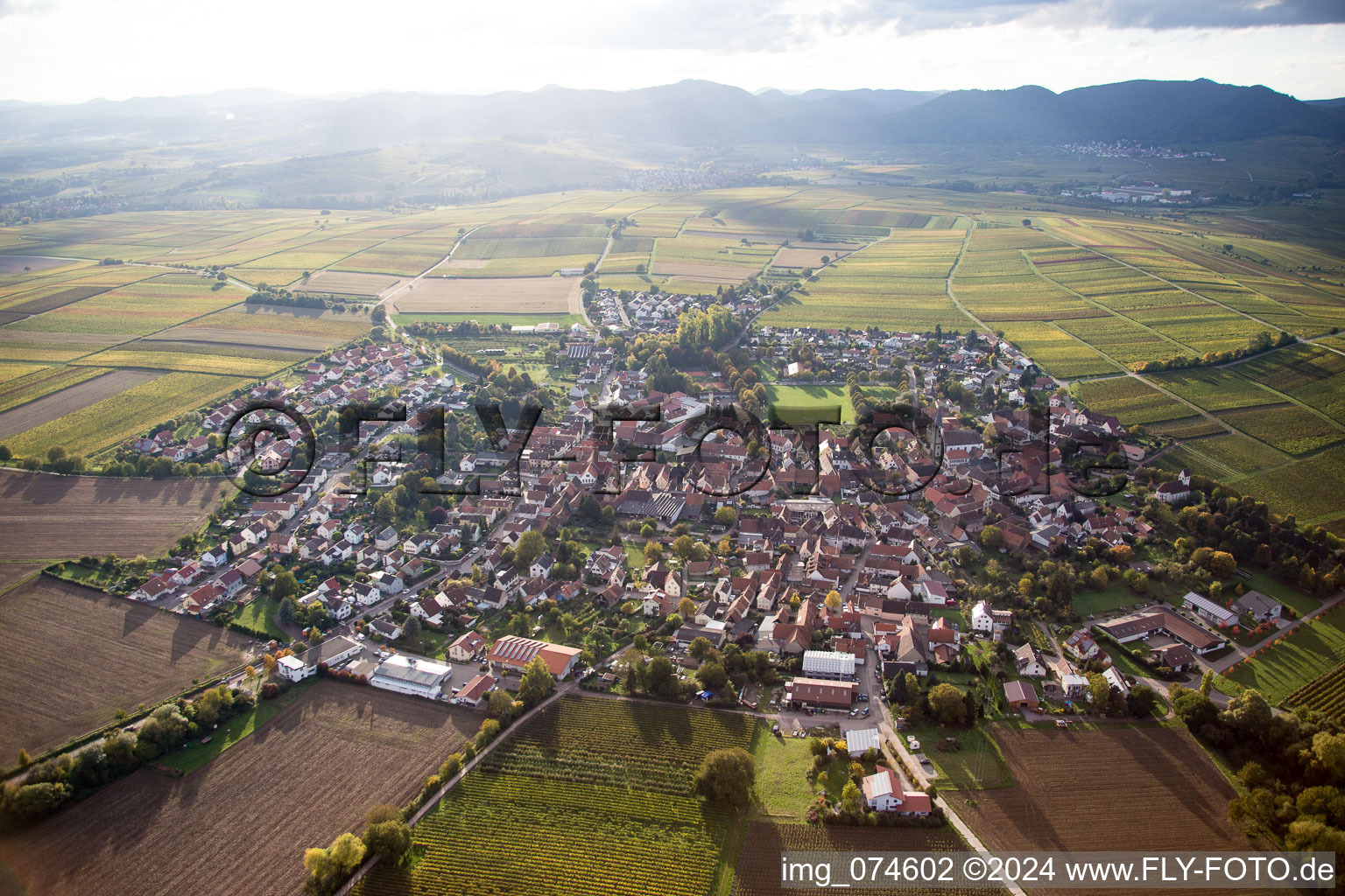 Aerial photograpy of District Mörzheim in Landau in der Pfalz in the state Rhineland-Palatinate, Germany