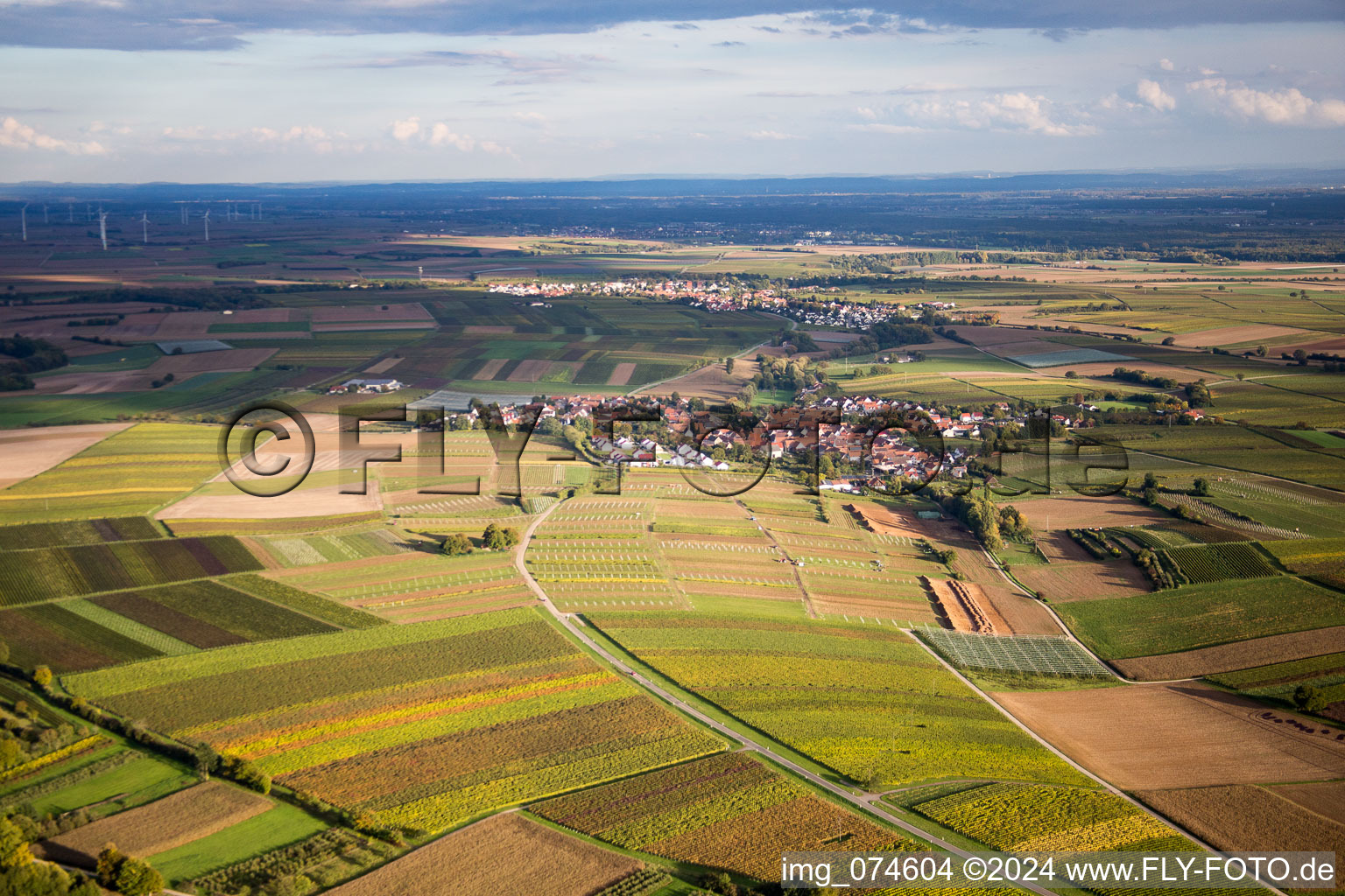 Impflingen in the state Rhineland-Palatinate, Germany