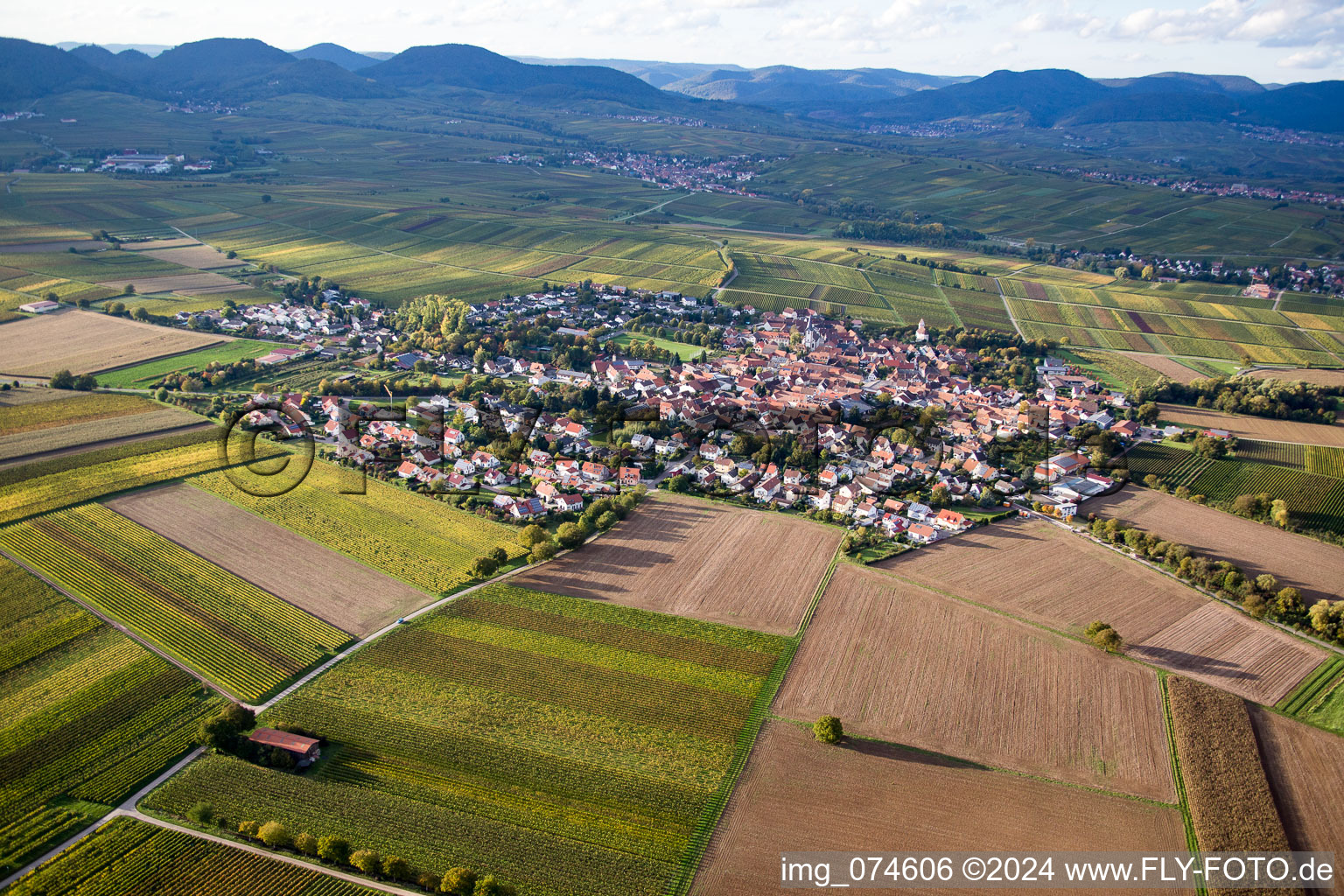 Oblique view of District Mörzheim in Landau in der Pfalz in the state Rhineland-Palatinate, Germany