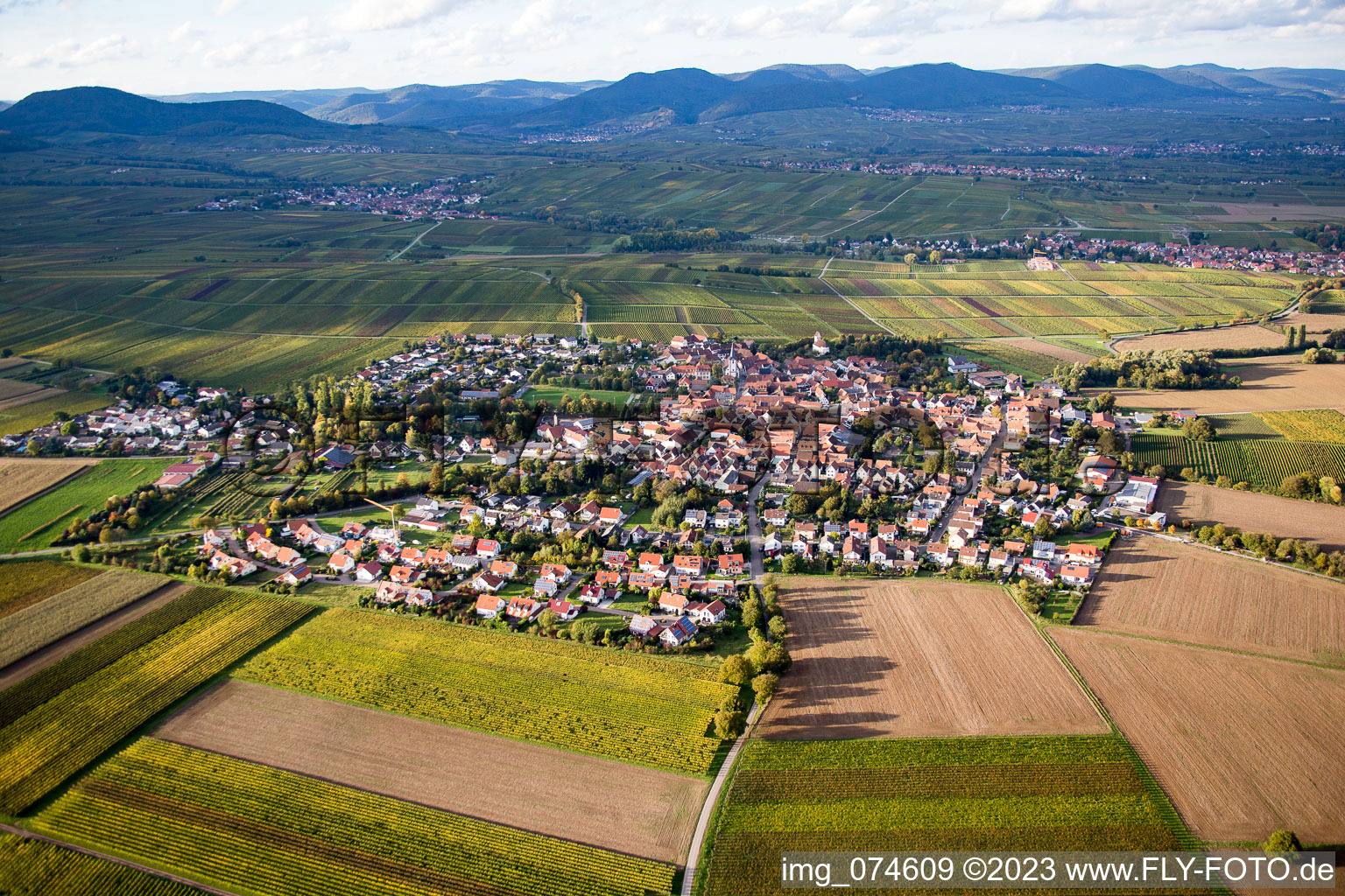 District Mörzheim in Landau in der Pfalz in the state Rhineland-Palatinate, Germany from above