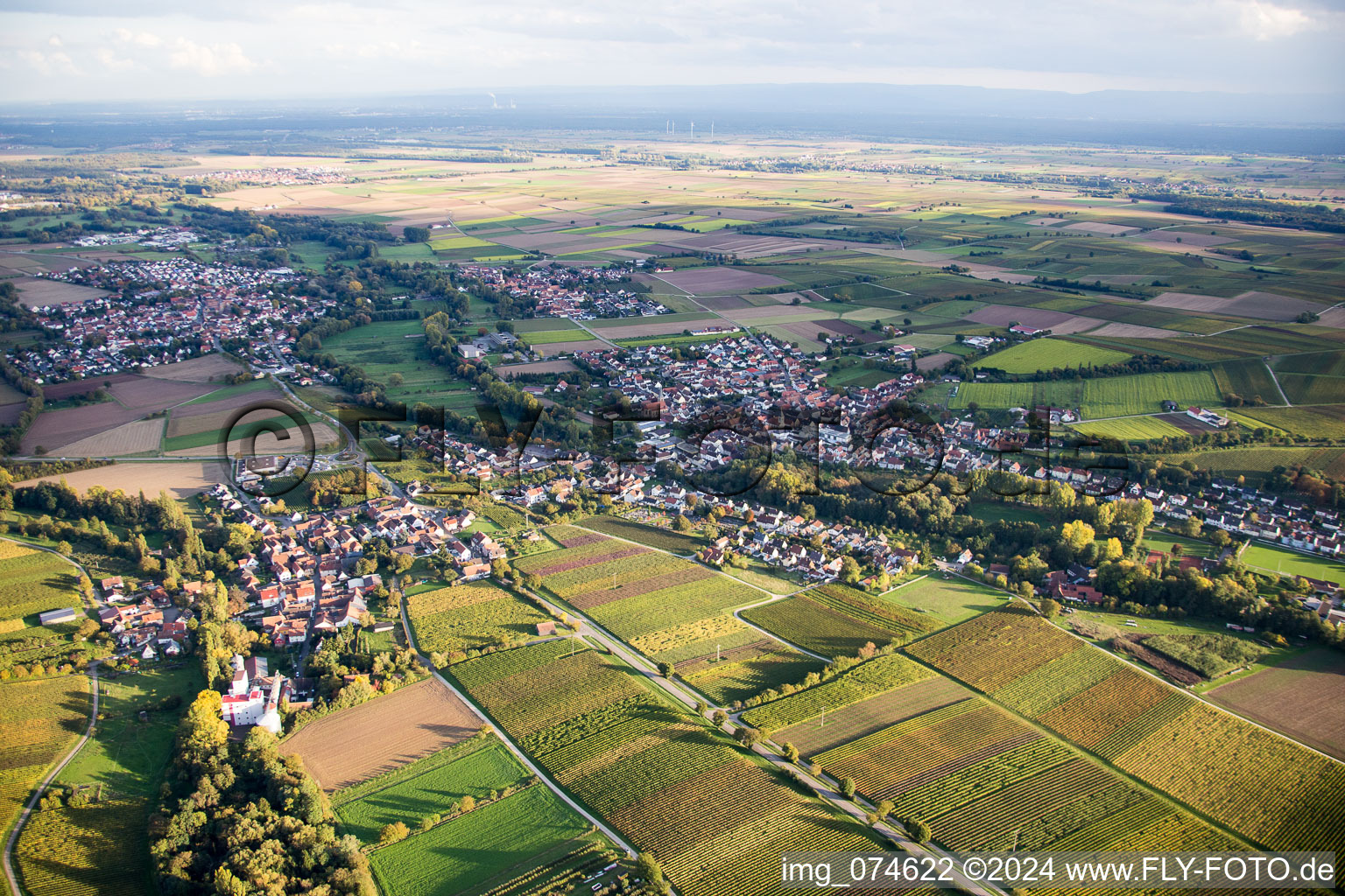 Aerial view of District Billigheim in Billigheim-Ingenheim in the state Rhineland-Palatinate, Germany