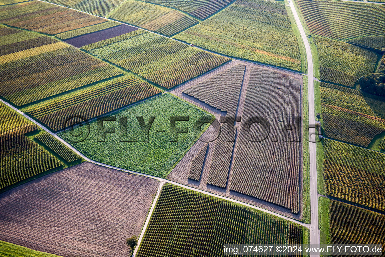 Aerial photograpy of District Mühlhofen in Billigheim-Ingenheim in the state Rhineland-Palatinate, Germany