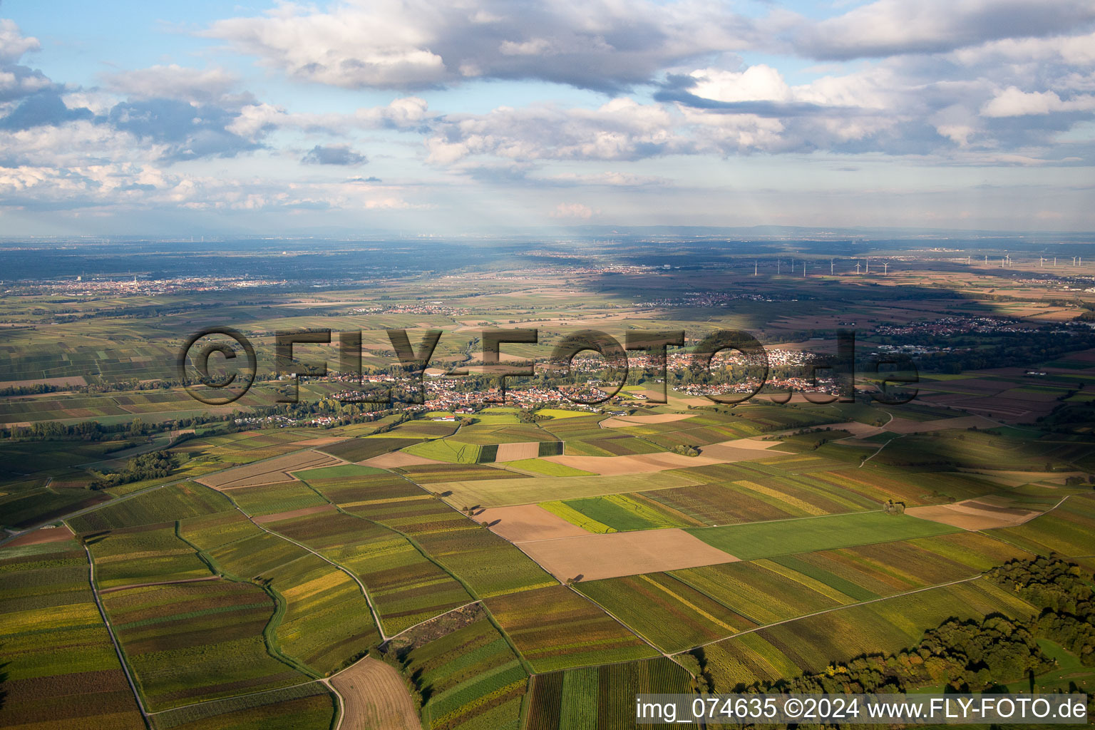 Aerial view of From the south in the district Billigheim in Billigheim-Ingenheim in the state Rhineland-Palatinate, Germany