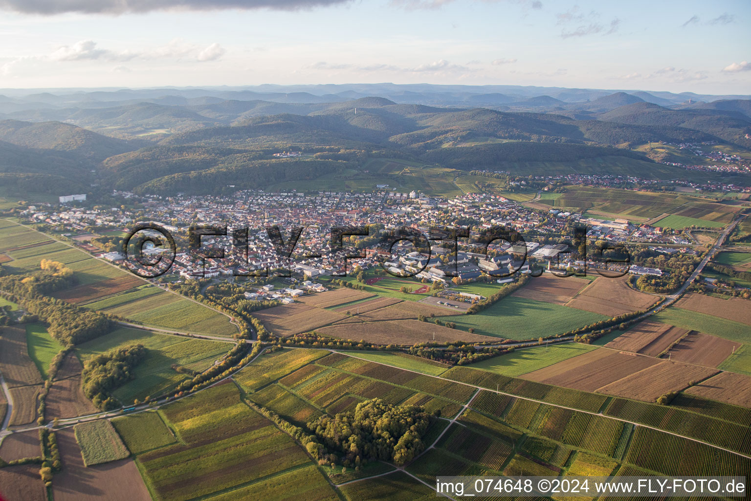 Oblique view of Bad Bergzabern in the state Rhineland-Palatinate, Germany