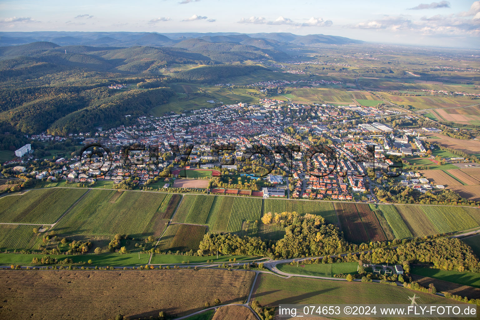 Bad Bergzabern in the state Rhineland-Palatinate, Germany from above