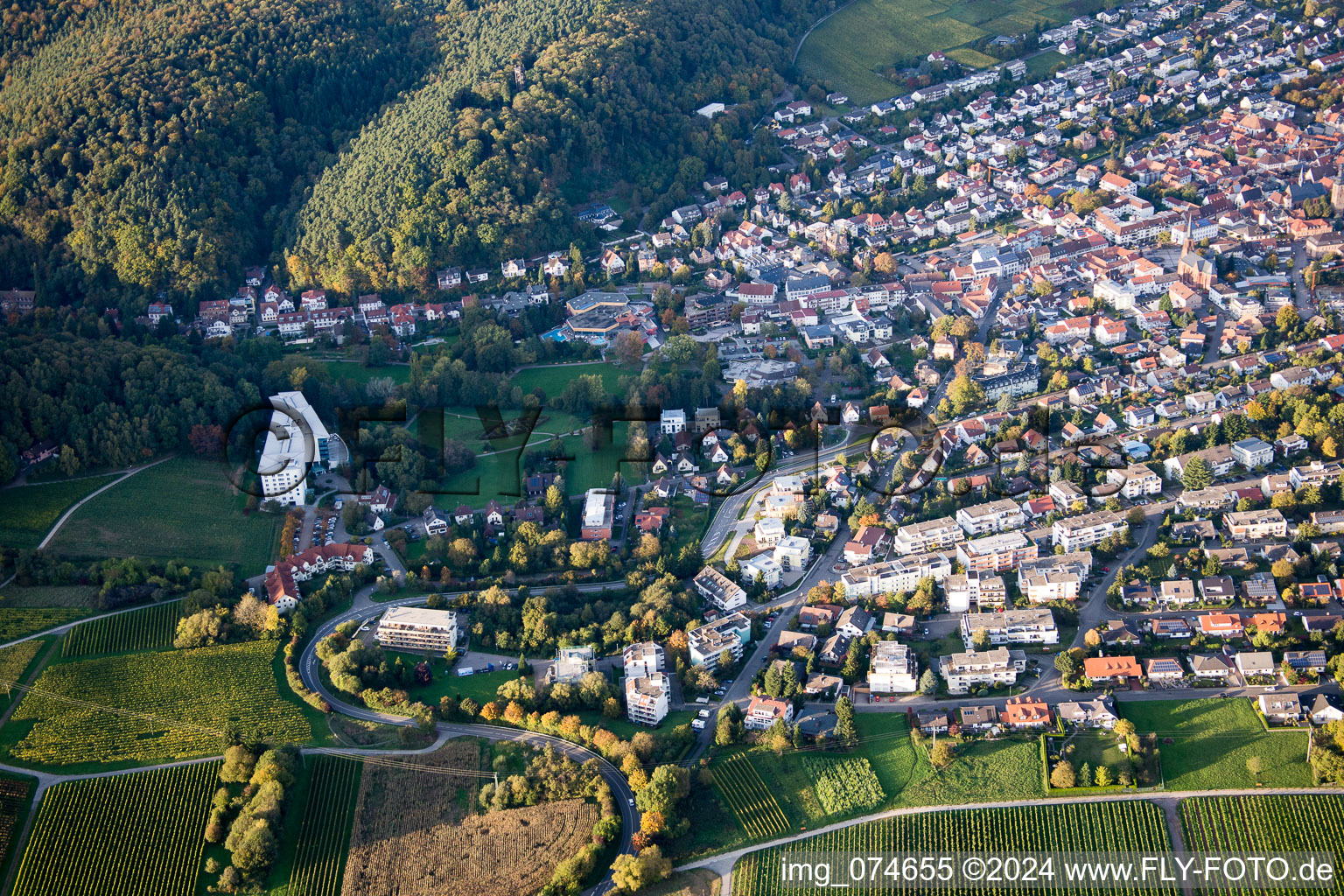 Bad Bergzabern in the state Rhineland-Palatinate, Germany out of the air