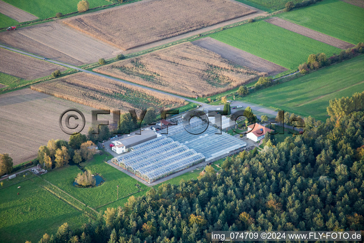 Steinfeld in the state Rhineland-Palatinate, Germany out of the air