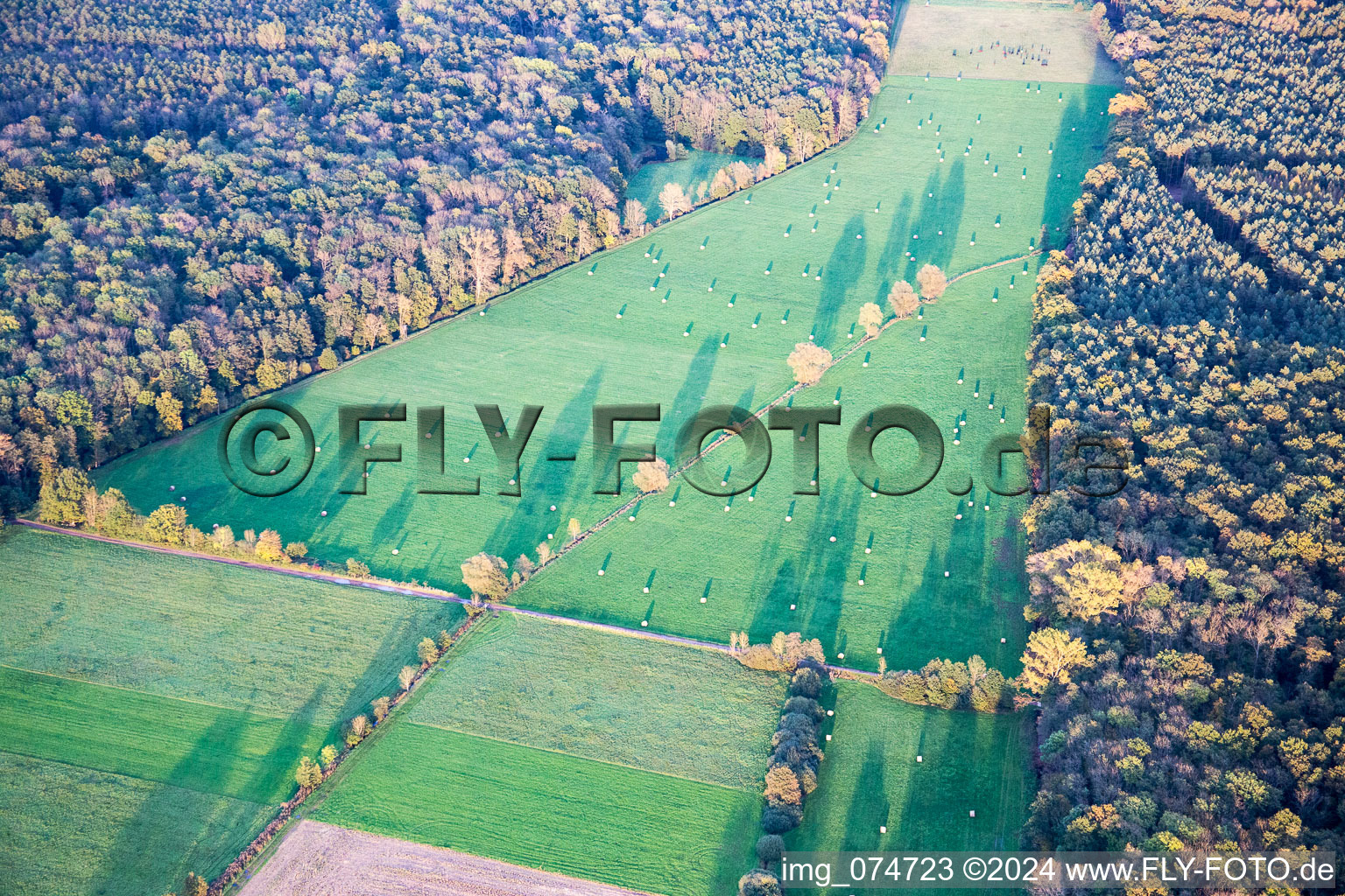 Minfeld in the state Rhineland-Palatinate, Germany out of the air